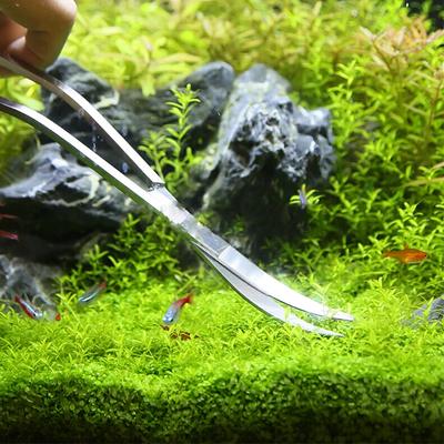 Aquarium-Scherenwerkzeuge, Fischtank-Pinzette, Pflanzen, Wellenschere, Gras, rostfreie Reinigungswerkzeuge, Aufbewahrungshalter, Aquarium-Zubehör