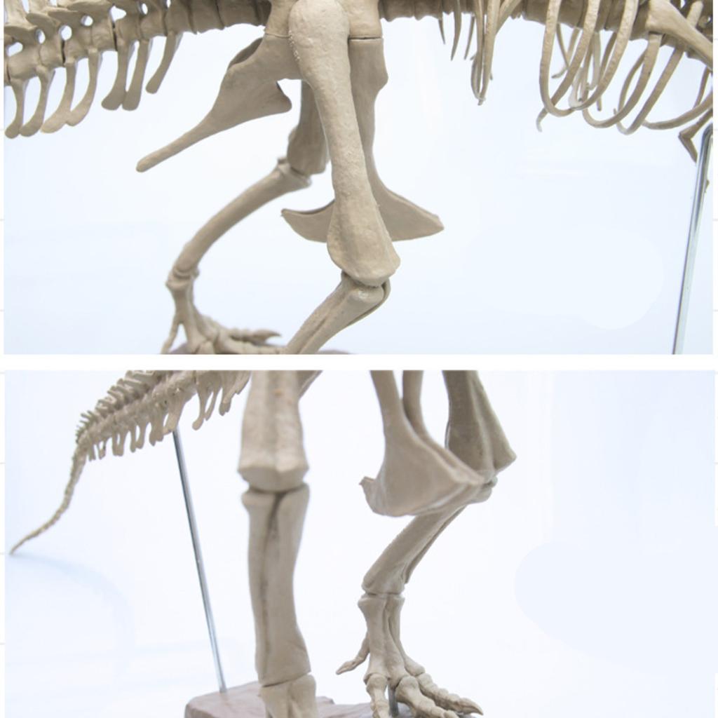 10ml Dinosaur Skeleton Resin Crafts Personalized Desktop Ornaments