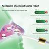 XIBELAON Rhinitis & Sinusitis Nasal Oil