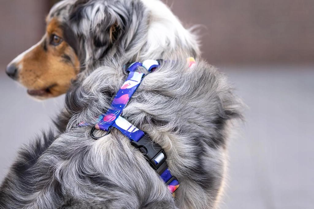 GUARD HARNESS for pulling medium terrier dog / 20 Ukory NASA