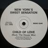12inch Record SWEET SENSATION  Child Of Love Rock The House Mix B8983SAM ATCO Records 1990 UK Dance  Electronica Used