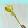 Themed Artificial Green Flower Materials Wedding Decoration Home Shooting Props