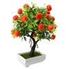 Orange Tree Diameter 22cm Green Non Toxic Brand New