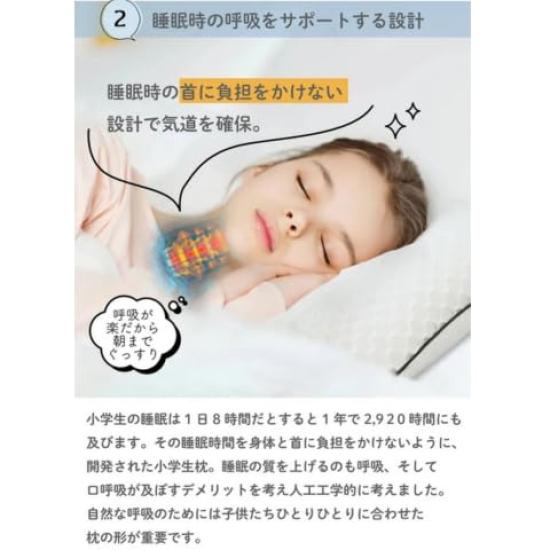ESMERALDA Breathable Elementary School Made in Elastomer Bed Pillow Lower Pillow, Japan, Bedding, Children's Room, Pillowcase, Pipe, (Sesame, Grades,