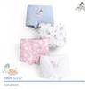Children's Cotton Antibacterial Safety Underpants for Girls - Ideal for Elementary and Middle School Students