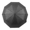 Compact Travel Umbrella Folding Auto Open Auto Close Sunshade Protection Windproof 10 Ribs Umbrella for Men and Women