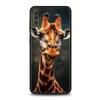 giraffe Phone Case For Samsung A24 A12 A14 A32 A50 A70 A20E A20S A10S A22 A30 A40 A34 A54 A42 A52 5G A02S A04s Soft Cover