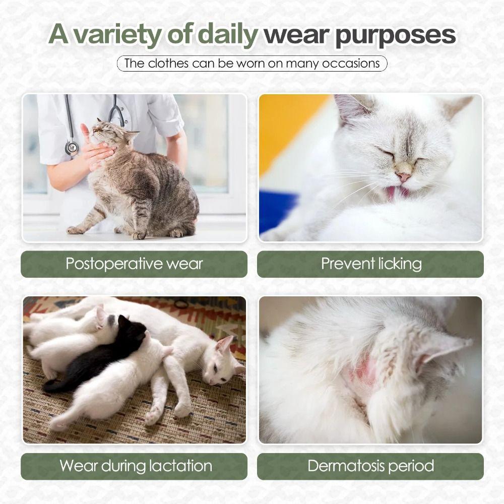 High Elastic Cat Sterilization Clothes Soft Cotton Recovery Onesie  Professional Use