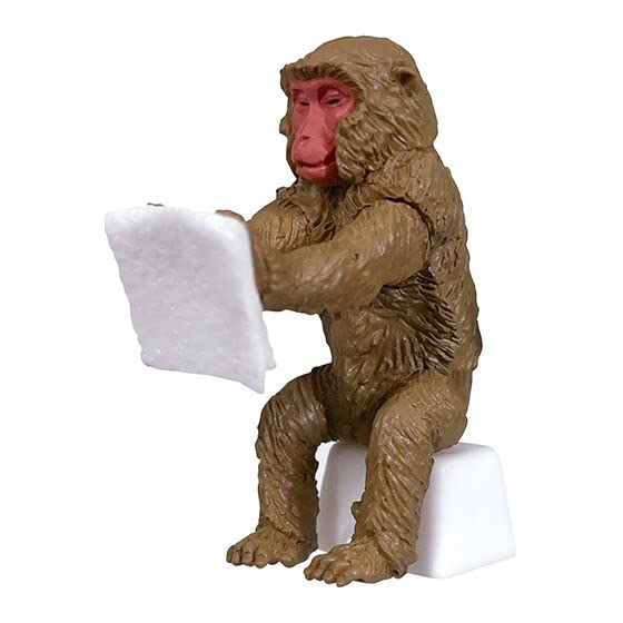 [Monkey] Animal Bathhouse