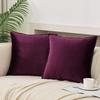 Throw Pillow Covers 16x16 Set Of 2 Velvet Decor Decorative Couch Cushion Pillowcases With Fringe Home Bed Decoration For Sofa Bedroom