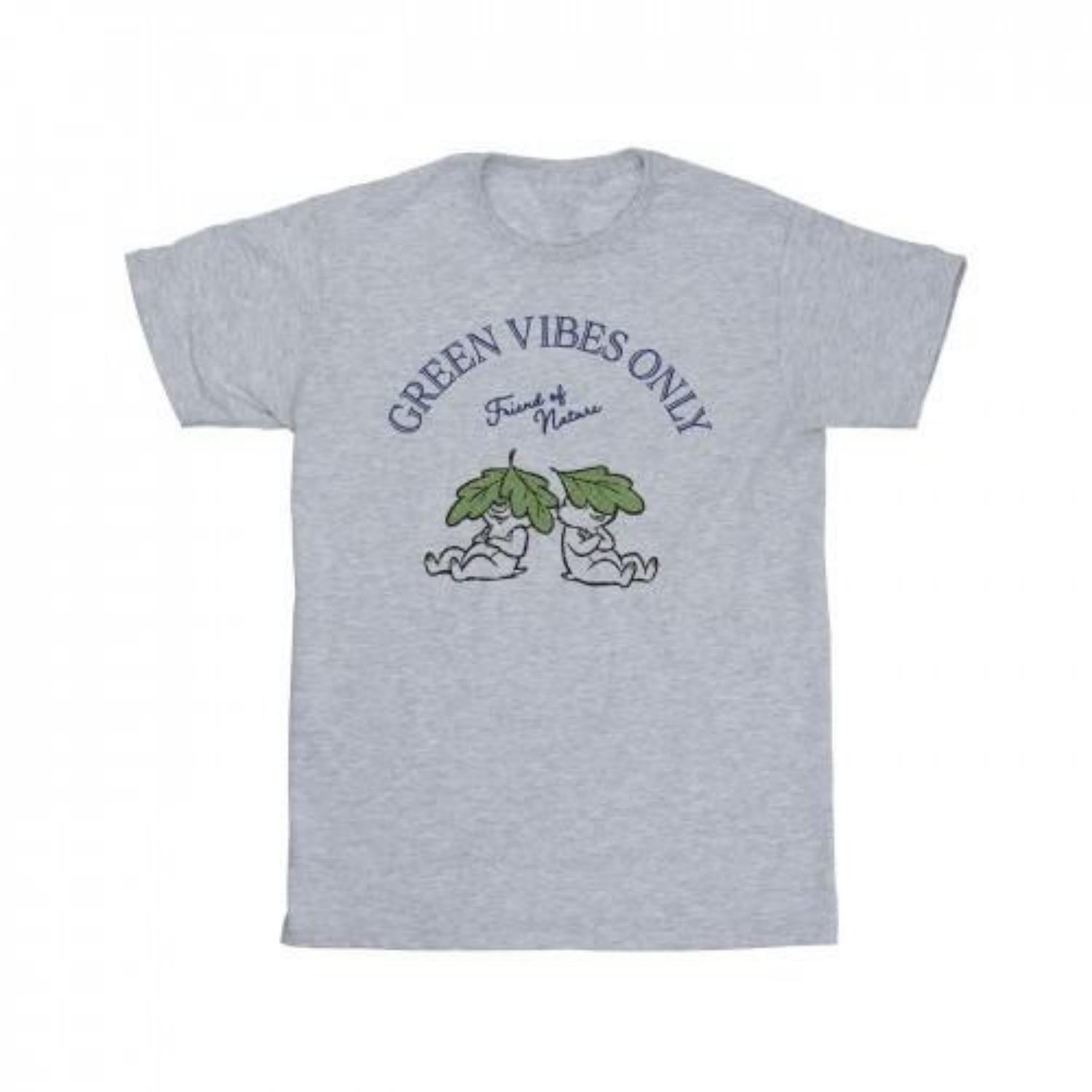 Disney Mens Chip ´n Dale Green Vibes Only T-Shirt XXXXL