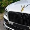 3d Car Sticker Sun Protection Metal Adhesive Car Front Bonnet Eagle Ornament For Sedan RV Commuting Travel Family Outings