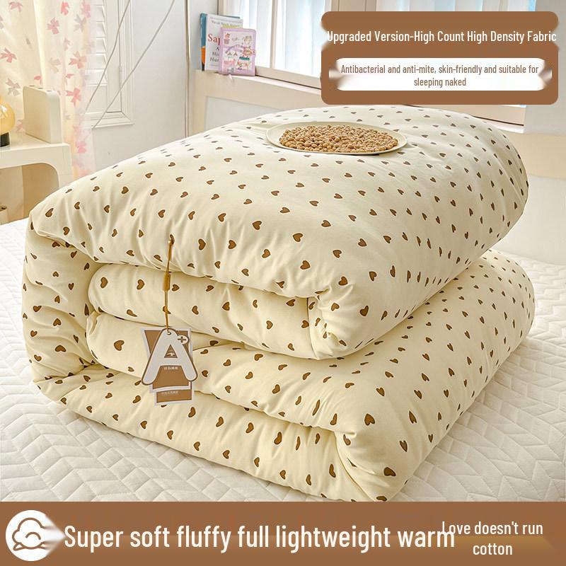 Washable Thick Cotton Quilt - Warm, Universal for All Seasons, 2025 Spring/Winter. Perfect for Students' Single Beds.