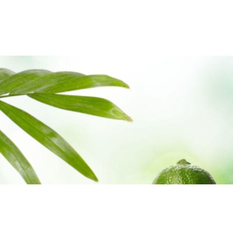 CARE:NEL - Lime Lip Night Mask Set