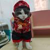 Easy to Wear Pet Jumpsuits Machine Washable Dog Cats Festival Theme Clothing For Halloween New Year Party Gathering