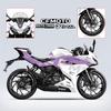 Pattern Printing Stickers Kits for Motorcycle Protection and Decoration, Used for CFMOTO 250SR 300SR 2022 2023, Various Styles