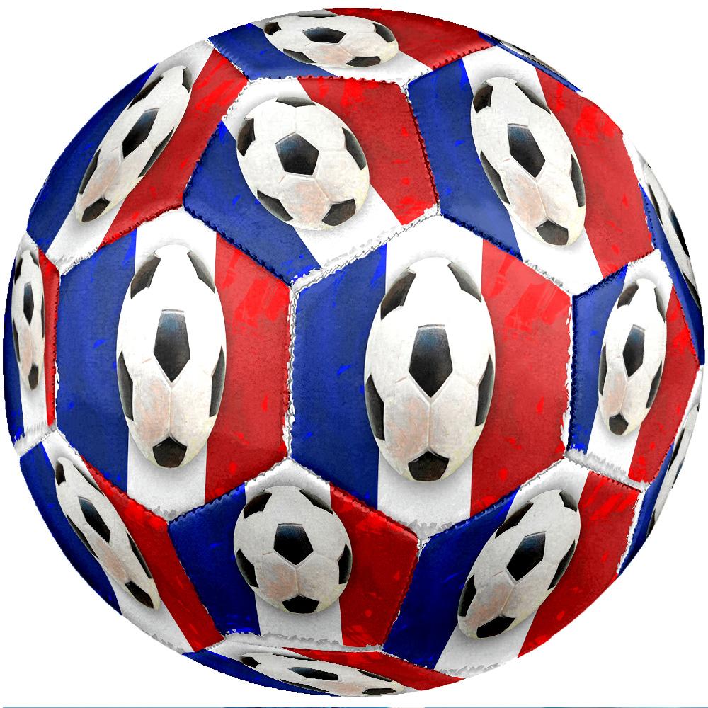 Squadra nazionale di calcio della Francia Tema Pallone da calcio Taglia 5 Pallone da calcio Tocco Morbido Pallone da calcio per Allenamento Professionale per Sport all'Aperto