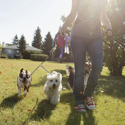 Sturdy Heavy Duty 2 Way Dogs Leash Double Hook Multifunctional Dog Twin Lead Double Dog Coupler Dogs