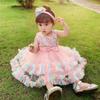 Children's Rainbow Puffy Mesh Dress - Performance Costume for Toddlers and Kids
