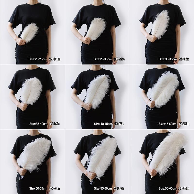 10PCS Colorful Natural Ostrich Feathers 20-50 CM8-20 inch for Handicraft Accessories Wedding Table Centerpiece Decoration Pluma