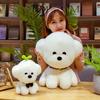 1Pcs 25Cm Simulation Bichon Frise Dog Plush Toy Cute Soft Stuffed Animal Toys Gift