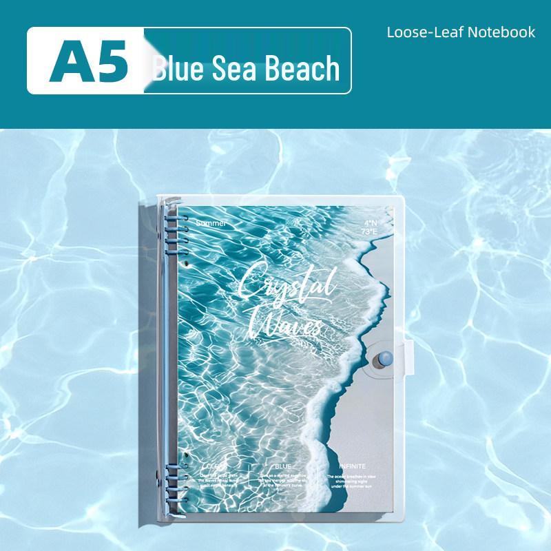 Detachable Transparent Leather Binder with 5 Notebooks for High School Students - 2026 Edition