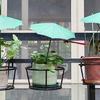 Plant Umbrella Higher Larger Upgraded Sun Protecting Cloth Gardens Shade Cover for Outdoor Plant Backyard Deck