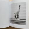 [USED] Out of print! Isabelle Wenzel Counting Till Ten