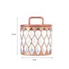 Airtight Dry Fruit Container Set With Tray|Plastic Dry Food Storage|500Ml, Set Of 4 (Rose Gold)
