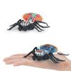 Intricately Plastic Designed Spider Models Including Dynamic Peacock And Striped Flies Available In Various Colors Ideal For Col