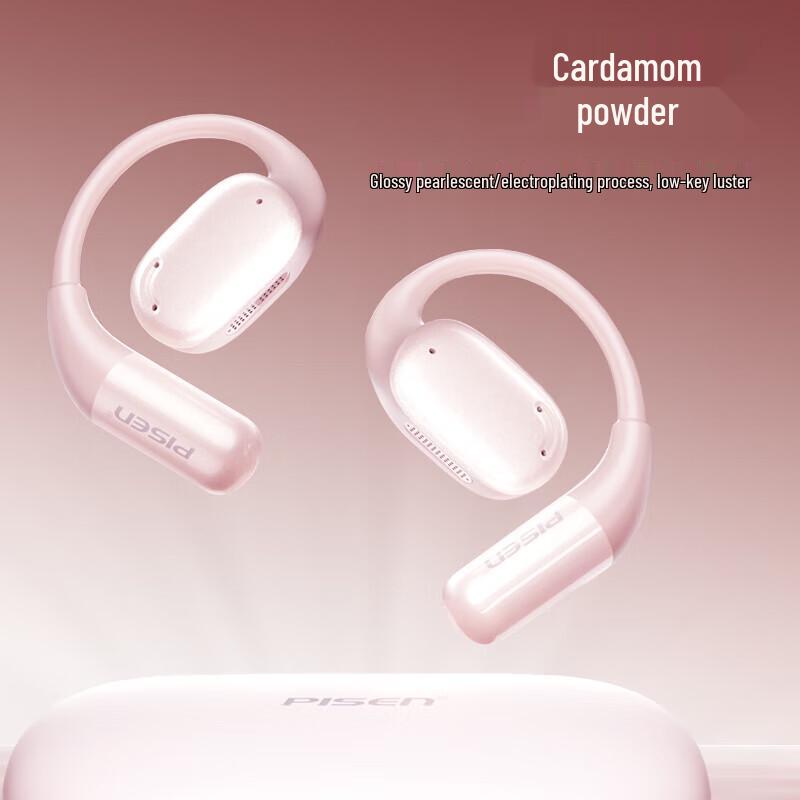 

PISEN Noise-Cancelling True Wireless Ear-Hook Sport Earbuds