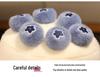 Blueberry Strawberry Dessert Plush Toy - Children's Birthday Gift