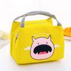 Cartoon Lunch Bag Reusable Picnic Lunch Pouch Tote Meal Bag Ice Pack Kids Adult