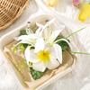 Lightweight Flame Egg Flower Plastic Hairpin For Women Hair Clip Holiday Party Beach Wedding Hairstyle Decoration