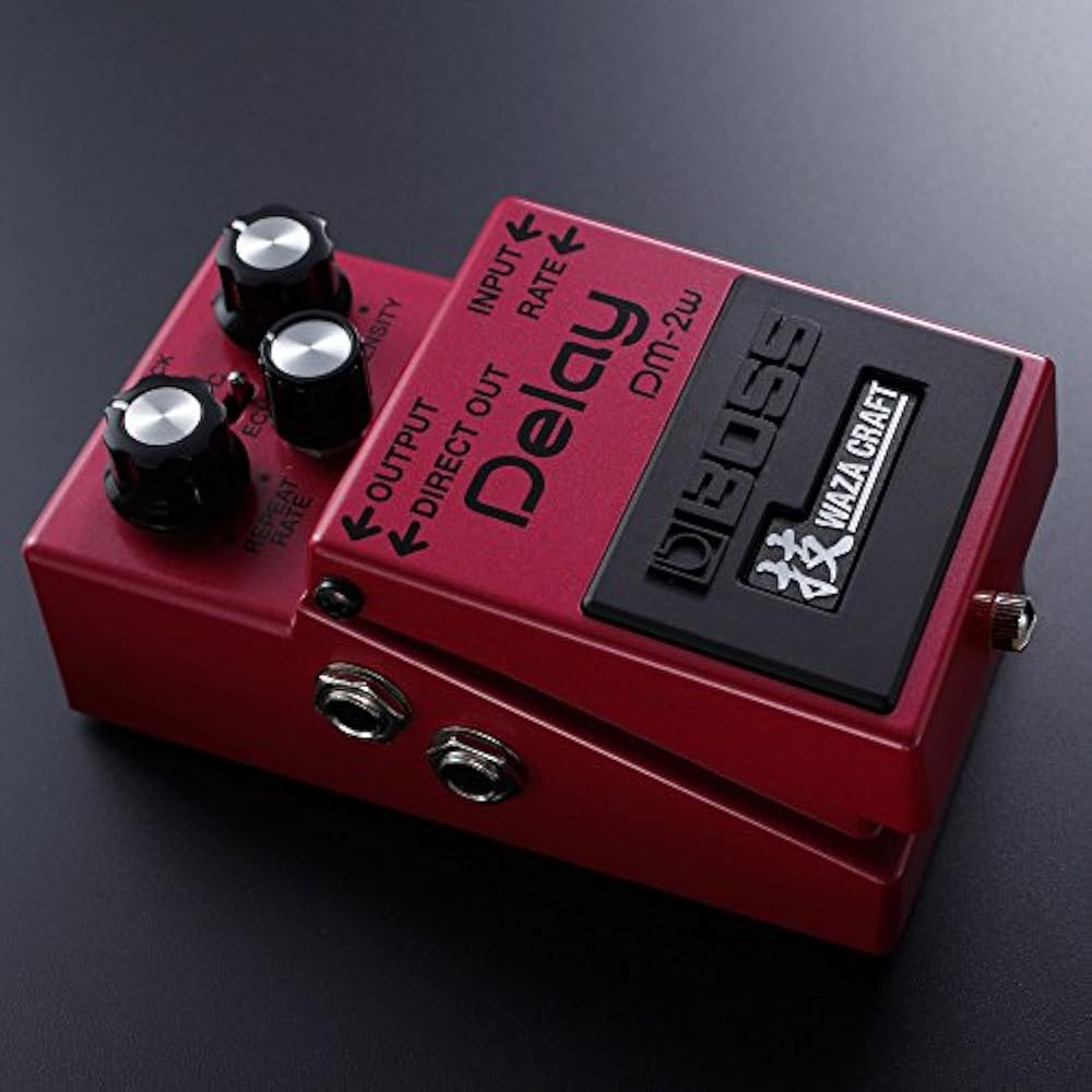 BOSS /DM-2W Analog Delay Technique Waza Craft Boss