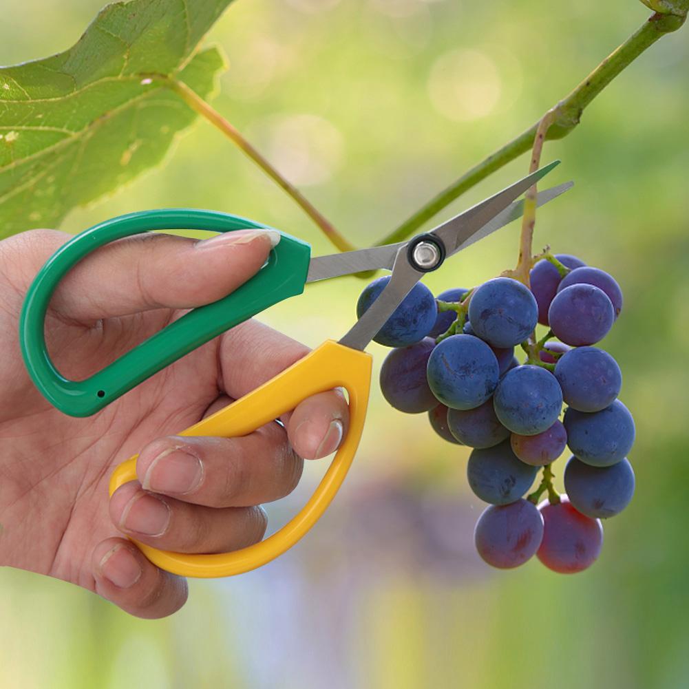 Equipment Cutter Stainless Steel Flower Scissors with Comfortable Handles for Garden Equipment,   Blades for Clean Cuts