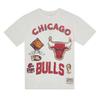T-shirt Mitchell & Ness Unisexe Gris SS8412-CBUOTHT