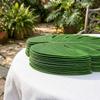 12PCS Green Monstera Leaf Table Place Mats Heat Insulation Placemat Table Flag  Table Decor