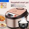 Changhong Smart Multi-Function Rice Cooker with AI Timer