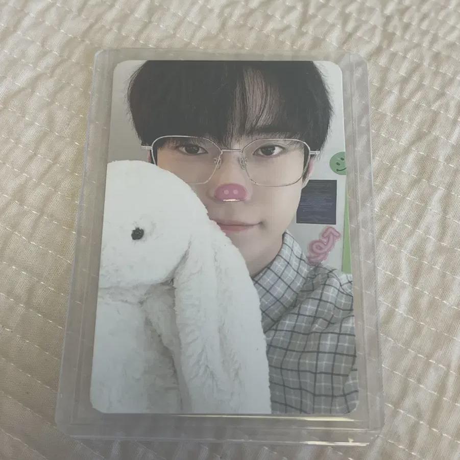

Rabbit Doyoung Foca Nambang Doyeong N City Doyeong N City Photo Card
