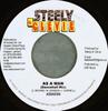 7inch Record ASSASSIN - As A Man NONE Steely & Clevie 2005 Jamaica Reggae, Ska & Dub Used
