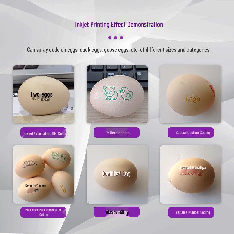Six-Head High-Speed Egg Inkjet Printer CN plug (adapter included)