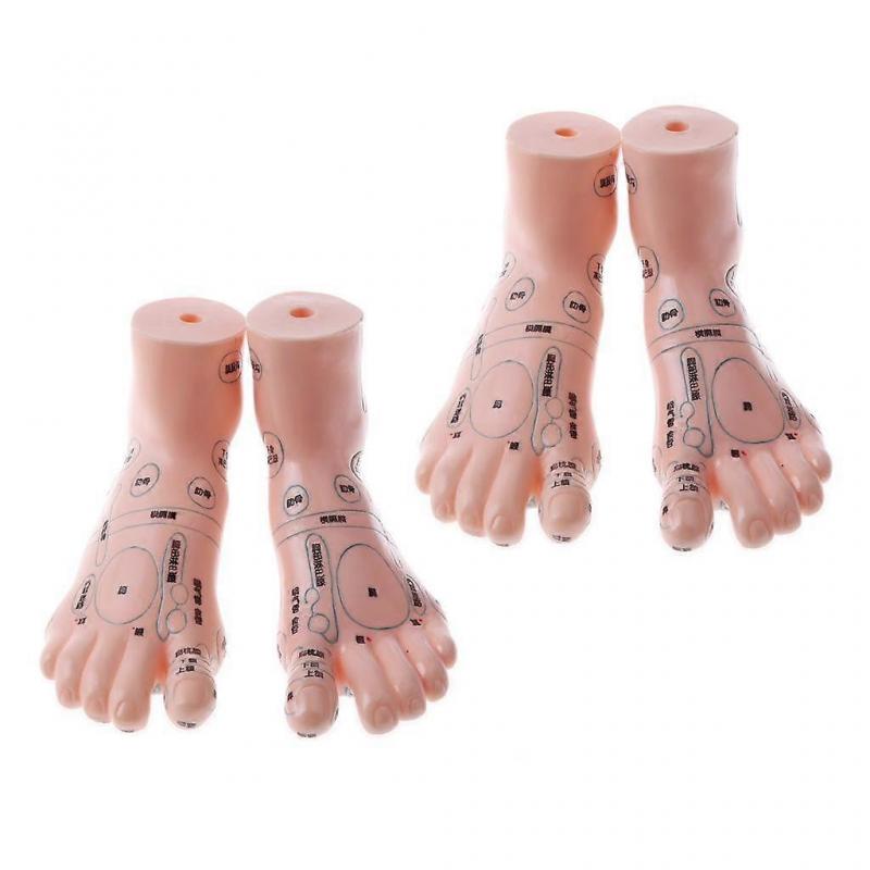 2 pair 19cm Massage Acupuncture Feet Model Reflexology Acupoint  Kit