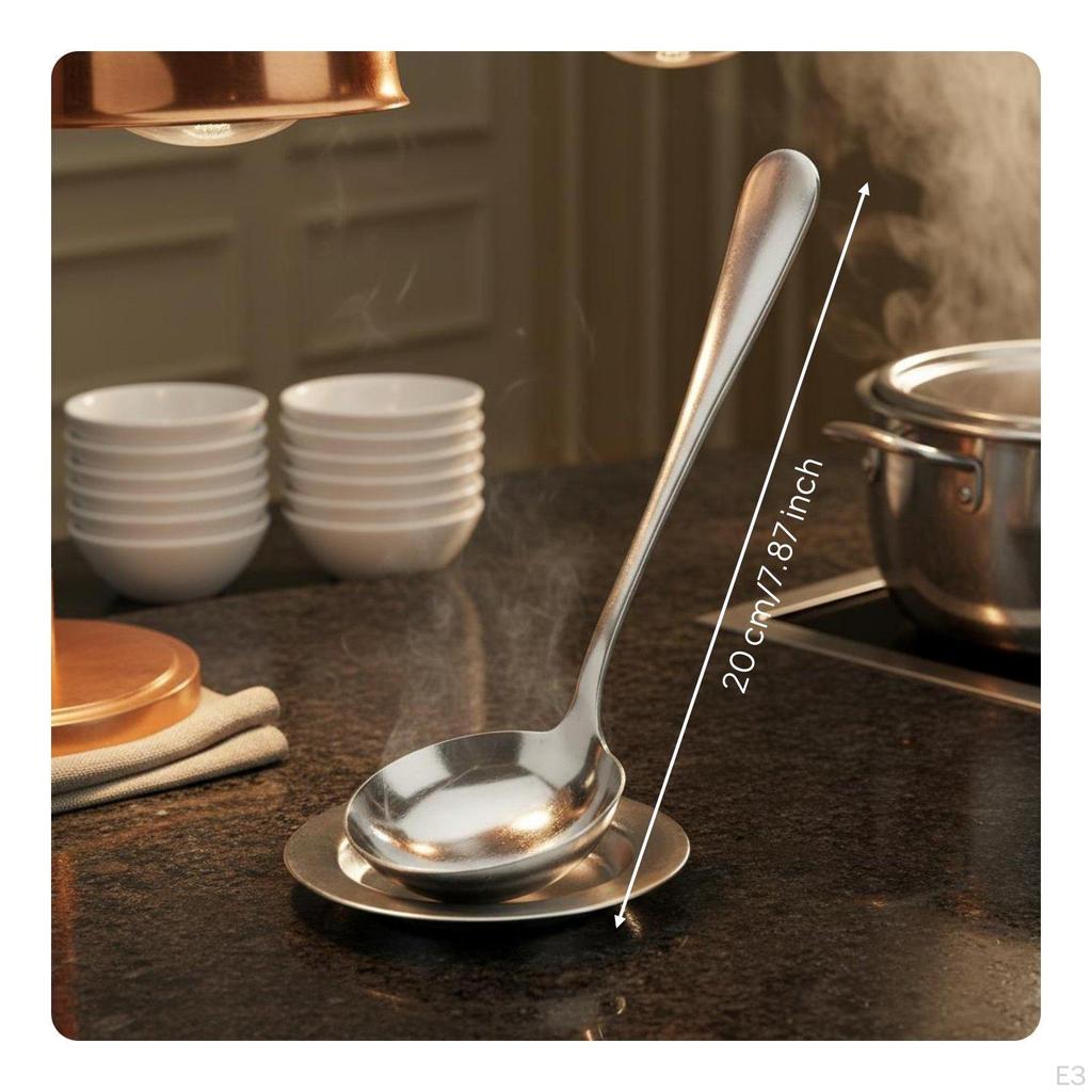 Stainless Steel Serving Spoon Professional Mirror Polished Kitchen Utensil for Caterers, Family