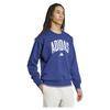 adidas Collegiate Hoodie