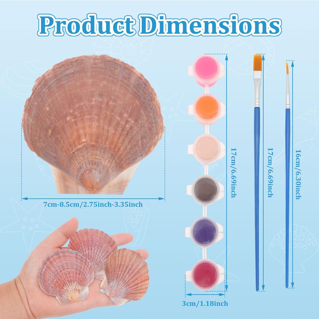 30Pcs Scallop Shell Set 2.76 to 3.35 Inch Decorative Processed Purple Red Sea Shell with Paint and Paintbrush for DIY Painting