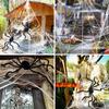Halloween Triangular Spider Web with 8/6/5 Inch Spider Simulation Giant Spiderweb for Patio Garden Yard Haunted House Decor Prop