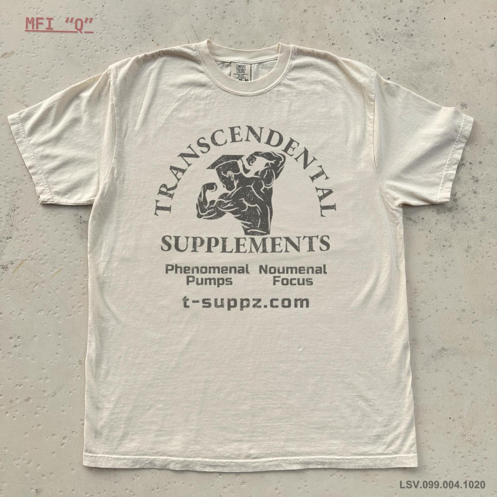 Transcendental Supplements | Kantian Philosophy Shirt, Immanuel Kant, Vintage Style Pump Cover, Transcendental Idealism S