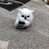 Harry Potter Owl Christmas Craft Toy: Static Fur Animal Model