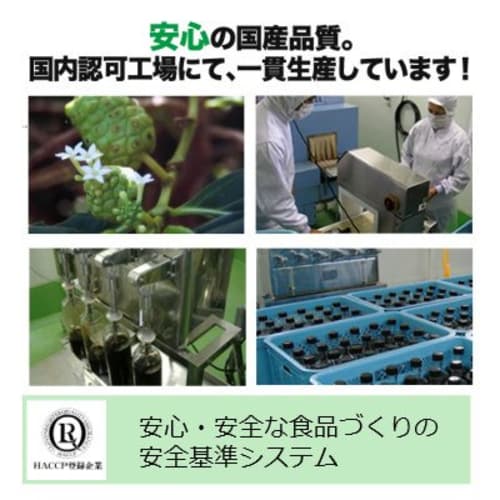 Pasteurized Noni Juice, 900ml, from Samoa and Okinawa, Anny's Favorite (FUTAEDA), Rock-Extracted Minerals. Also Known As Morinda Citrifolia.